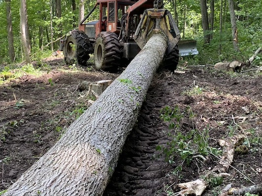 1988 Timberjack 450A Cable Skidder ($19.5K)