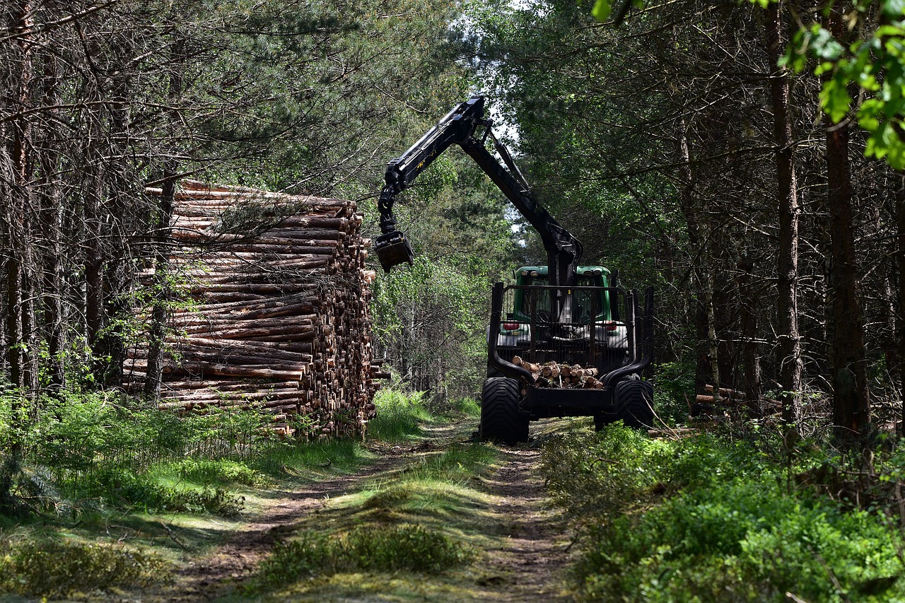 What is The Best Forestry Equipment?