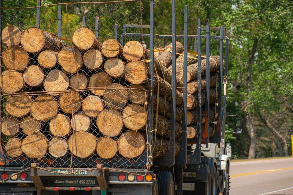 trailer transporting the timber  