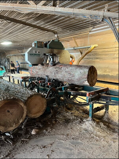 Used Sawmill Costs in 2025: Prices, Profit Potential and Guide 