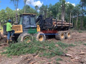 Essential Forestry Equipment