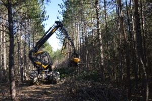 Forestry Equipment for Your Business