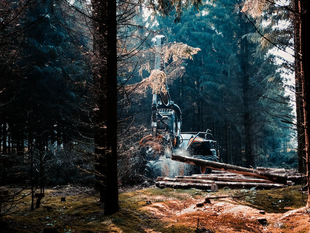 Different Types of Forestry Equipment
