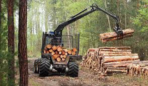 Quality Forestry Tools