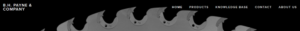 B H Payne & Company