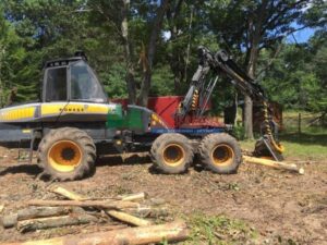 forestry machine working in a forest