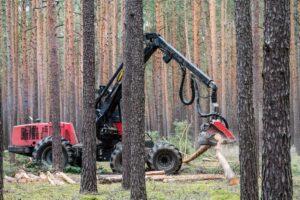 heavy forestry machine is working in woods