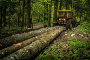 Log skidder at work in the forest